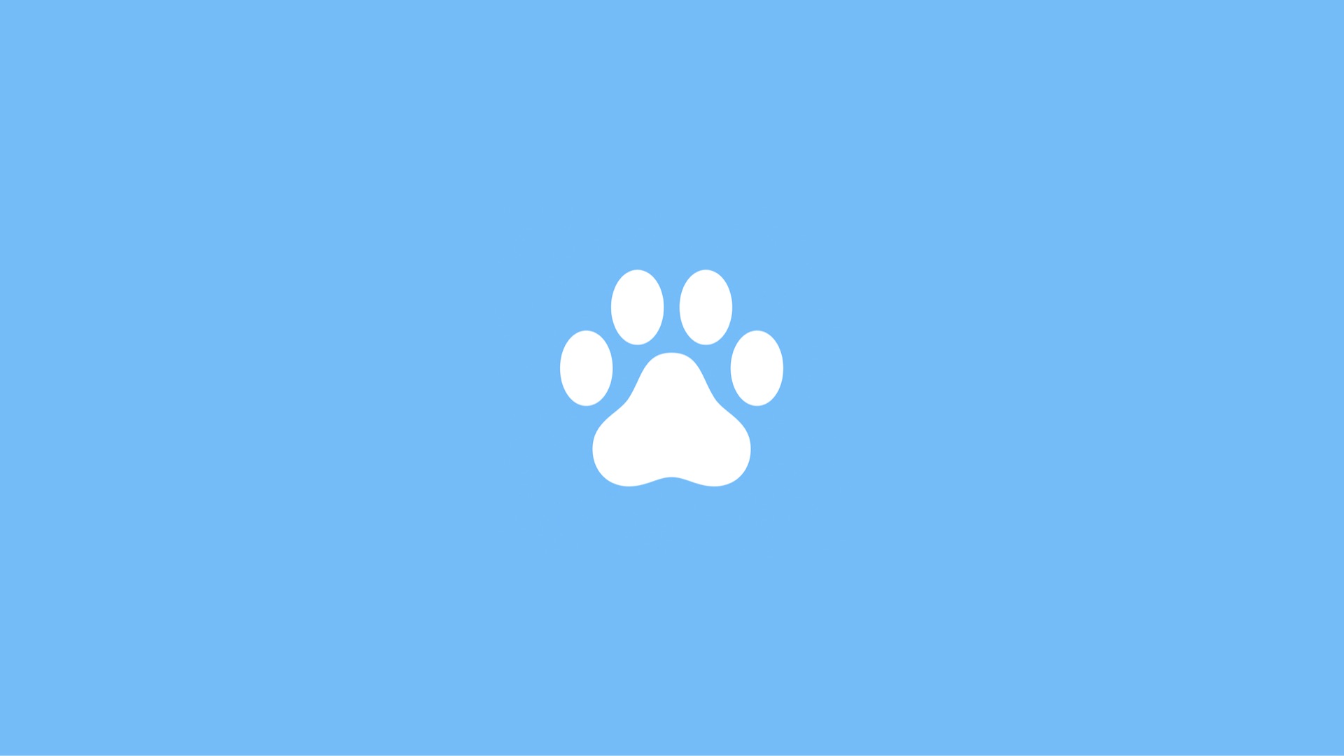 paws mark