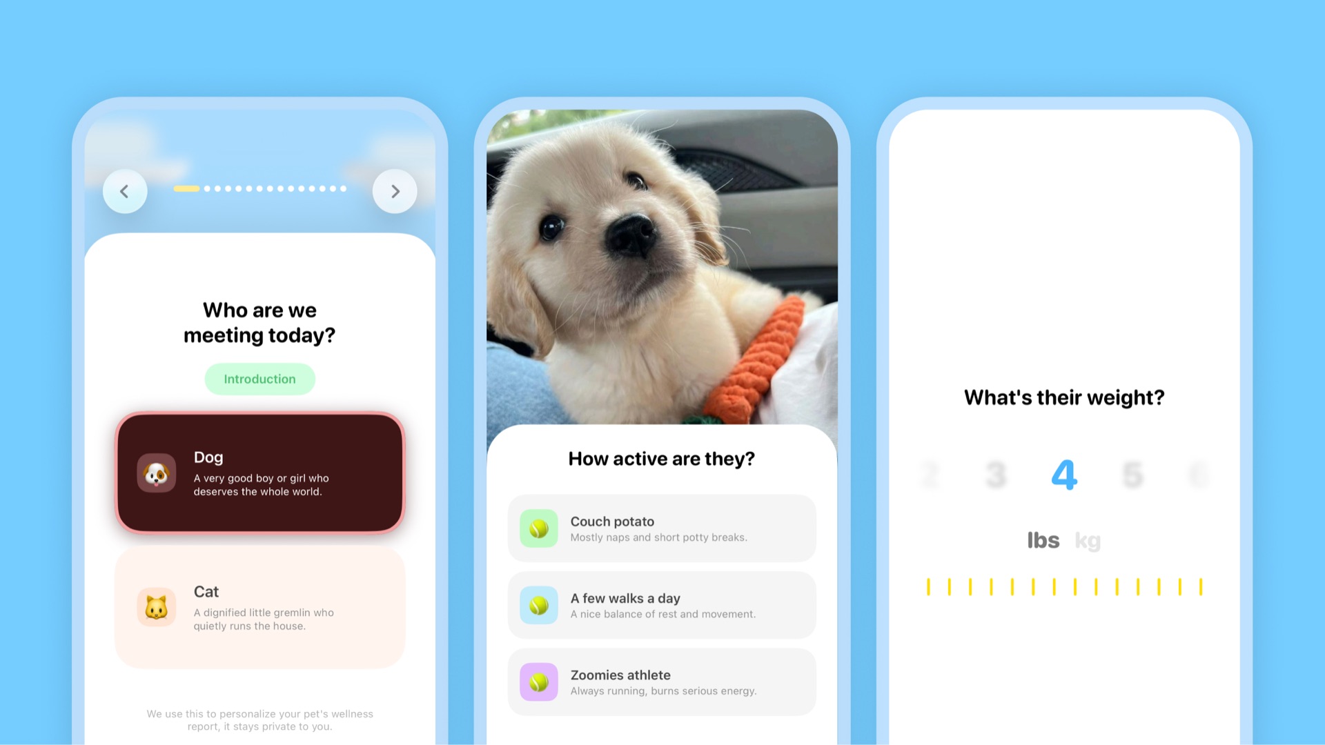 paws app onboarding screens