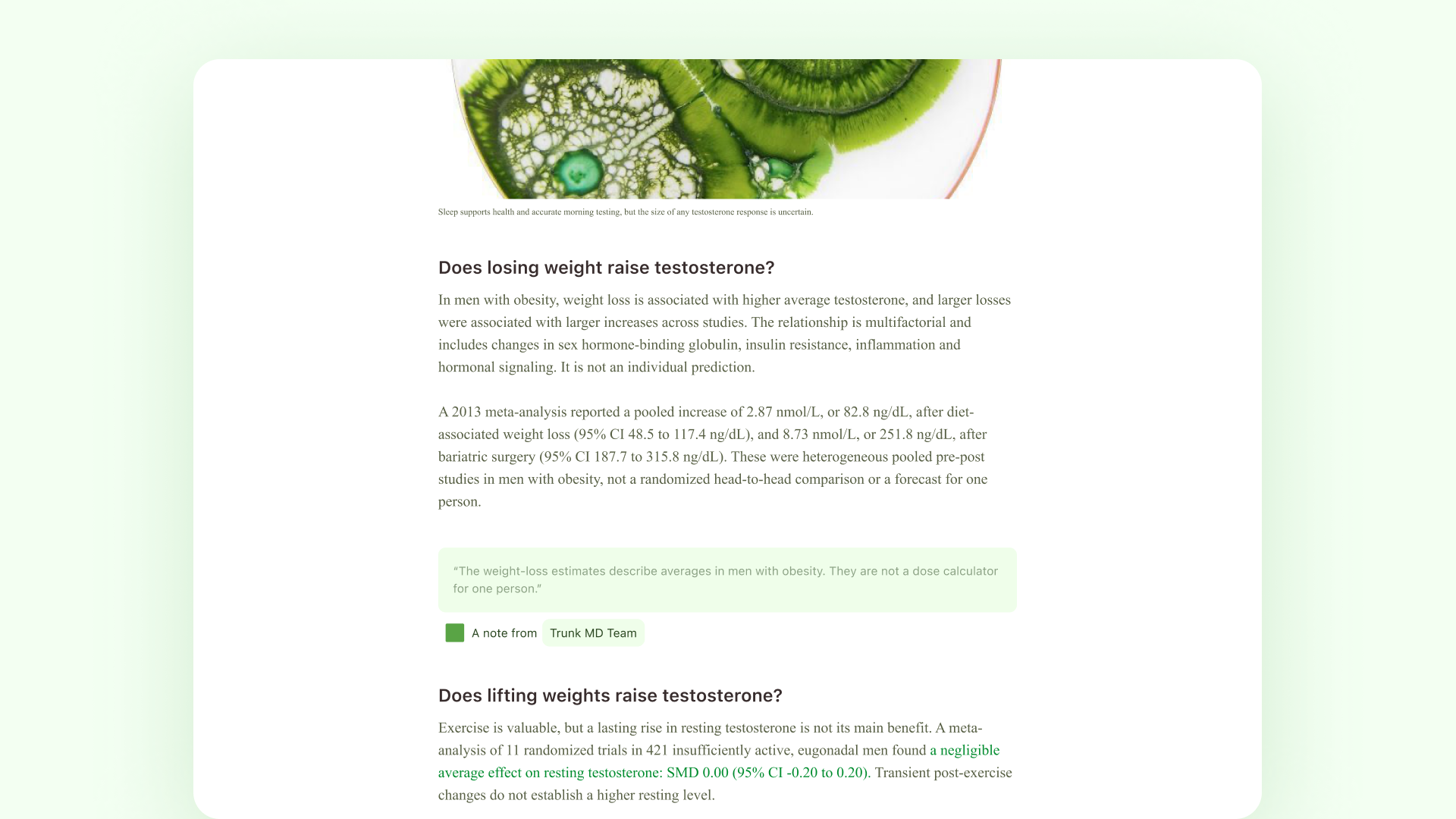 Trunk — site design